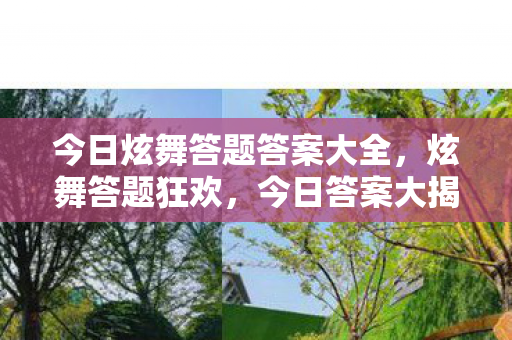 今日炫舞答题答案大全，炫舞答题狂欢，今日答案大揭秘