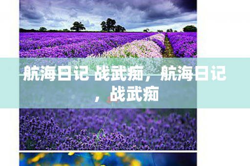 航海日记 战武痴，航海日记，战武痴