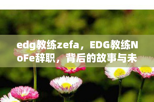 edg教练zefa，EDG教练NoFe辞职，背后的故事与未来展望