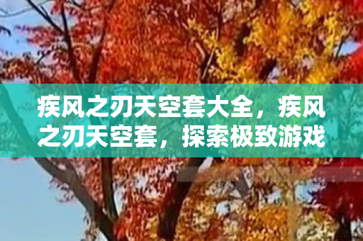 疾风之刃天空套大全，疾风之刃天空套，探索极致游戏装备的魅力