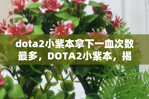 dota2小紫本拿下一血次数最多，DOTA2小紫本，揭秘神秘道具的魅力与背后故事