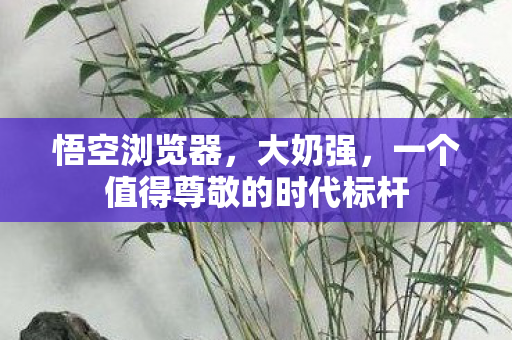 悟空浏览器，大奶强，一个值得尊敬的时代标杆