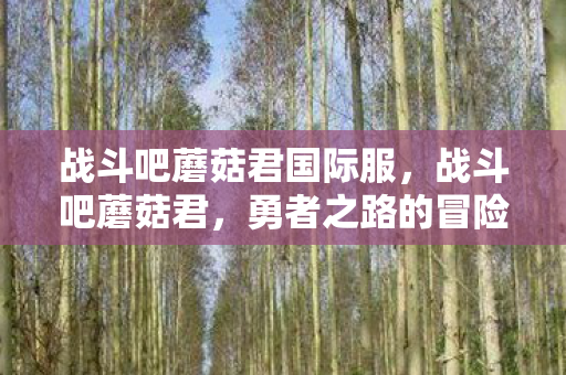 战斗吧蘑菇君国际服，战斗吧蘑菇君，勇者之路的冒险与挑战