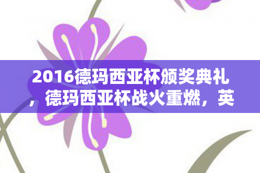 2016德玛西亚杯颁奖典礼，德玛西亚杯战火重燃，英雄荣耀再现江湖—2016年度回顾