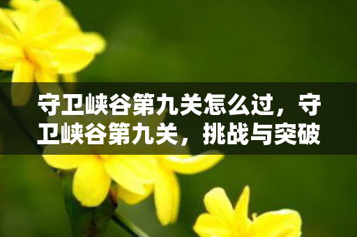 守卫峡谷第九关怎么过，守卫峡谷第九关，挑战与突破