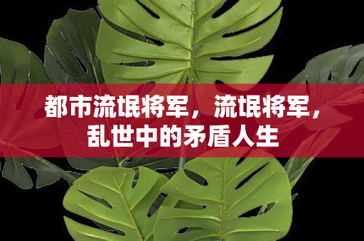 都市流氓将军，流氓将军，乱世中的矛盾人生