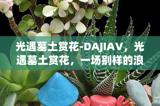 光遇墓土赏花-DAJIAV，光遇墓土赏花，一场别样的浪漫之旅