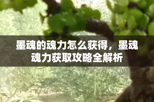 墨魂的魂力怎么获得，墨魂魂力获取攻略全解析