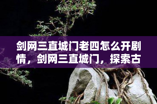 剑网三直城门老四怎么开剧情，剑网三直城门，探索古代战争与武侠世界的交汇点