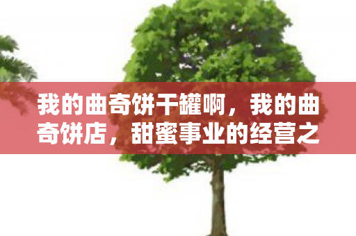 我的曲奇饼干罐啊，我的曲奇饼店，甜蜜事业的经营之旅