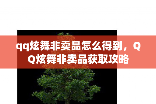 qq炫舞非卖品怎么得到，QQ炫舞非卖品获取攻略
