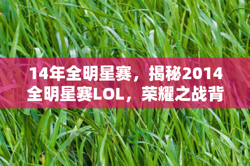 14年全明星赛，揭秘2014全明星赛LOL，荣耀之战背后的故事