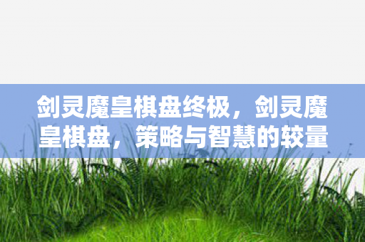 剑灵魔皇棋盘终极，剑灵魔皇棋盘，策略与智慧的较量