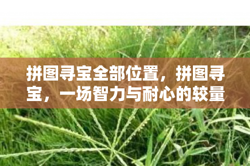 拼图寻宝全部位置，拼图寻宝，一场智力与耐心的较量