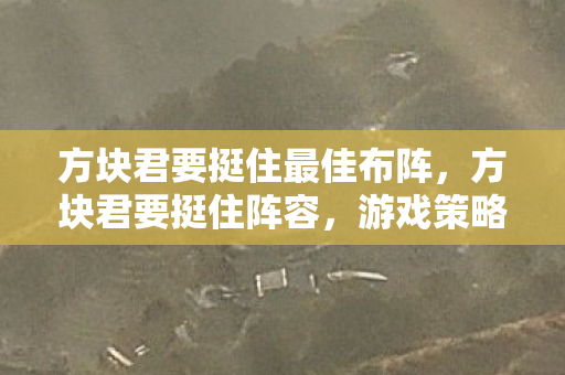 方块君要挺住最佳布阵，方块君要挺住阵容，游戏策略深度解析