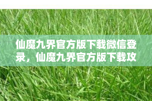 仙魔九界官方版下载微信登录，仙魔九界官方版下载攻略及游戏介绍