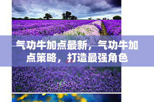 气功牛加点最新，气功牛加点策略，打造最强角色