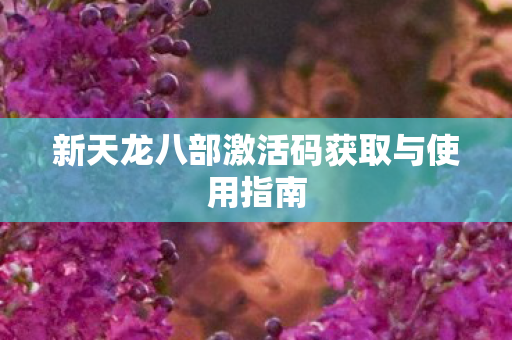 新天龙八部激活码获取与使用指南