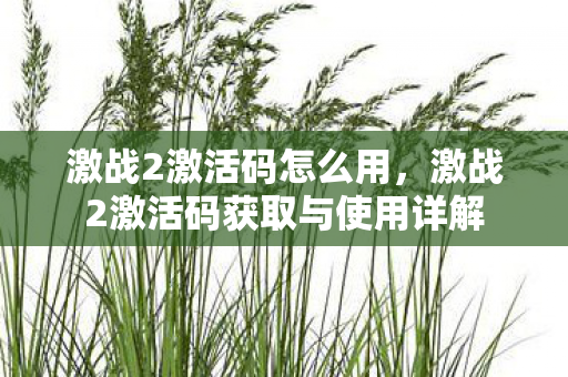 激战2激活码怎么用，激战2激活码获取与使用详解