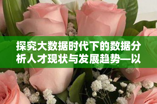 探究大数据时代下的数据分析人才现状与发展趋势—以数据分析专家丹爱强为例