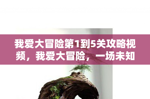 我爱大冒险第1到5关攻略视频，我爱大冒险，一场未知世界的勇敢之旅