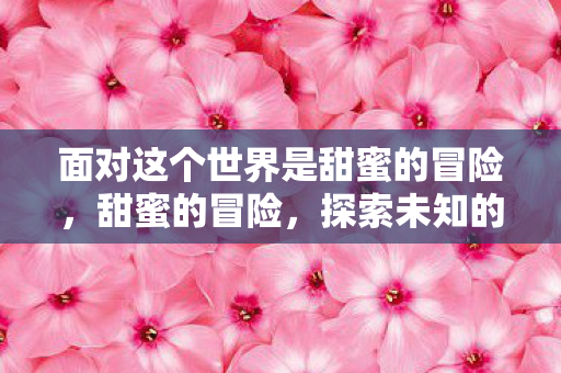 面对这个世界是甜蜜的冒险，甜蜜的冒险，探索未知的爱情之旅