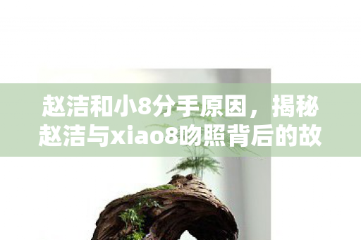 赵洁和小8分手原因，揭秘赵洁与xiao8吻照背后的故事
