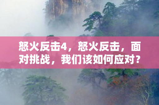 怒火反击4，怒火反击，面对挑战，我们该如何应对？