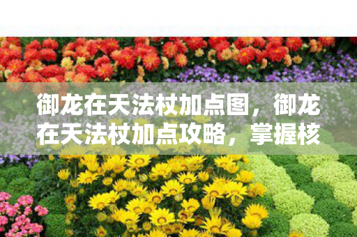 御龙在天法杖加点图，御龙在天法杖加点攻略，掌握核心技能，轻松提升战力