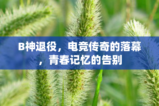 B神退役，电竞传奇的落幕，青春记忆的告别