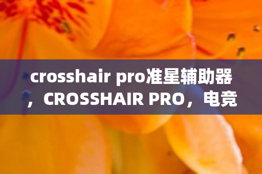 crosshair pro准星辅助器，CROSSHAIR PRO，电竞利器，专业玩家的首选之选