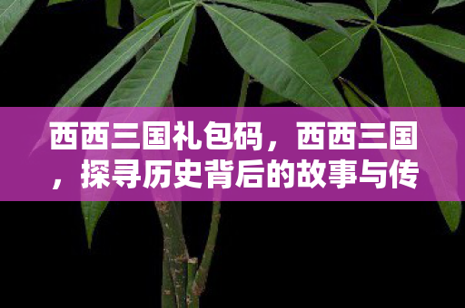 西西三国礼包码，西西三国，探寻历史背后的故事与传奇