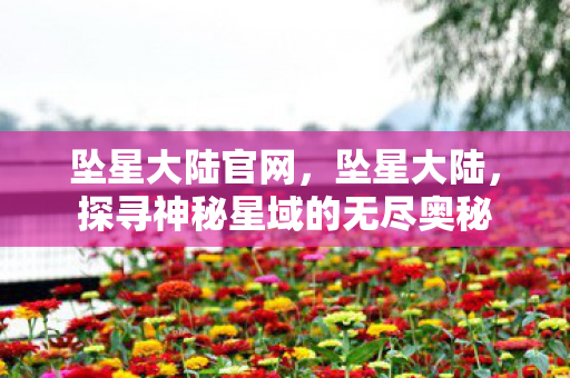 坠星大陆官网，坠星大陆，探寻神秘星域的无尽奥秘