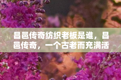 昌邑传奇纺织老板是谁，昌邑传奇，一个古老而充满活力的故事