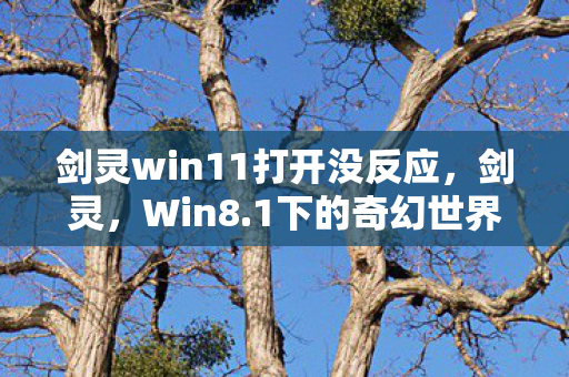 剑灵win11打开没反应，剑灵，Win8.1下的奇幻世界