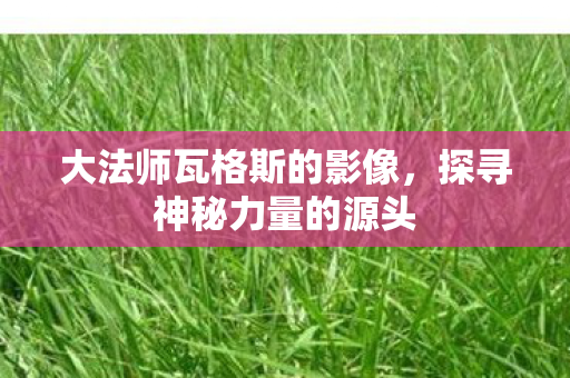 大法师瓦格斯的影像，探寻神秘力量的源头