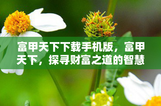 富甲天下下载手机版，富甲天下，探寻财富之道的智慧秘籍下载之旅