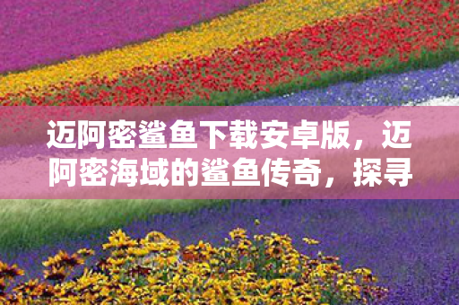 迈阿密鲨鱼下载安卓版，迈阿密海域的鲨鱼传奇，探寻海洋霸主的不凡之旅