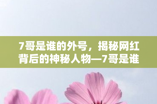 7哥是谁的外号，揭秘网红背后的神秘人物—7哥是谁？