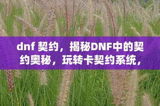 dnf 契约，揭秘DNF中的契约奥秘，玩转卡契约系统，轻松提升角色实力！