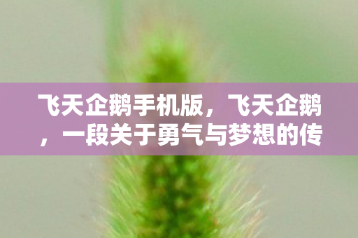 飞天企鹅手机版，飞天企鹅，一段关于勇气与梦想的传奇故事