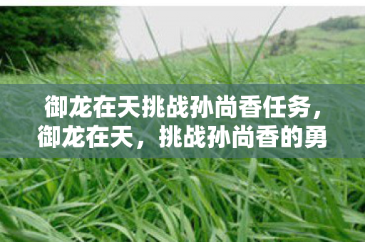 御龙在天挑战孙尚香任务，御龙在天，挑战孙尚香的勇者之旅