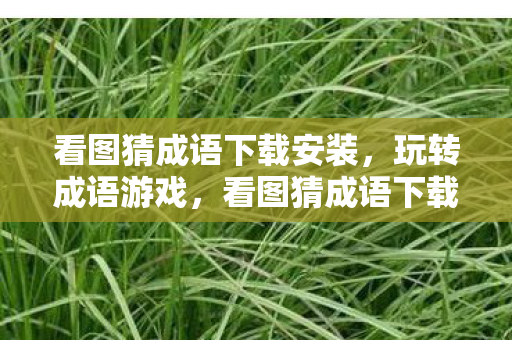 看图猜成语下载安装，玩转成语游戏，看图猜成语下载攻略与体验分享