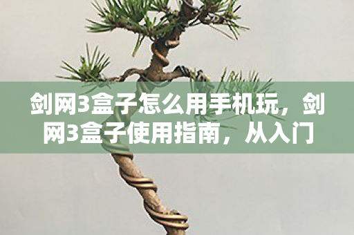 剑网3盒子怎么用手机玩，剑网3盒子使用指南，从入门到精通