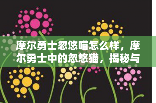 摩尔勇士忽悠喵怎么样，摩尔勇士中的忽悠猫，揭秘与解析