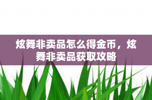 炫舞非卖品怎么得金币，炫舞非卖品获取攻略