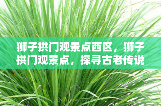 狮子拱门观景点西区，狮子拱门观景点，探寻古老传说中的壮丽之门