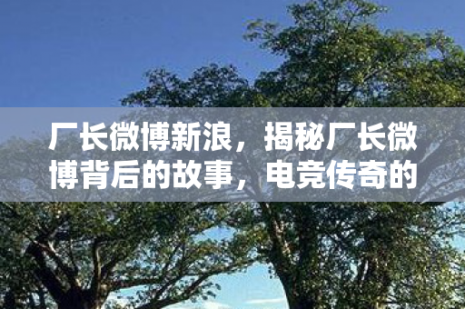 厂长微博新浪，揭秘厂长微博背后的故事，电竞传奇的奋斗与成长