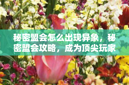 秘密盟会怎么出现异象，秘密盟会攻略，成为顶尖玩家的必经之路