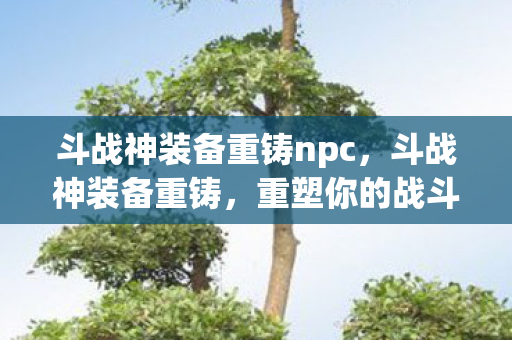 斗战神装备重铸npc，斗战神装备重铸，重塑你的战斗力量